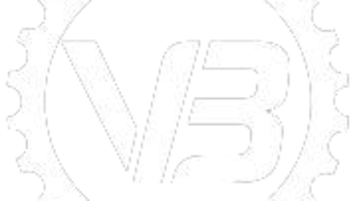 VB_logo.png